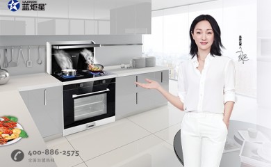 藍炬星集成灶招商