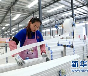 巨拓實業(yè)扶貧車間，共享工廠