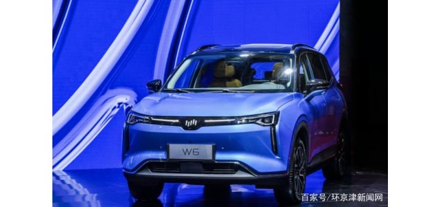 在2020中國品牌新車質(zhì)量排行榜中，威馬汽車位列前三
