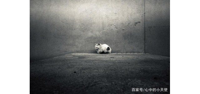 關(guān)于現(xiàn)代的「未來自閉癥」，專家怎么說？